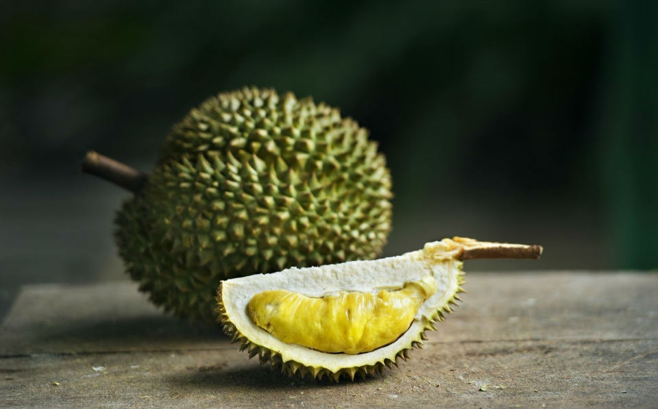 featured image